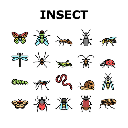 Insect, Spider And Bug Wildlife Icons Set Vector. Dragonfly And Butterfly, Ladybug And Cockroach, Grasshopper And Bumblebee, Mosquito And Caterpillar Insect Line. Color Illustrations