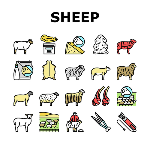 Sheep Breeding Farm Business Icons Set Vector. Sheep Breeding And Food Producing From Farmland Animal, Lamb Meat And Milk Line. Lanolin Wool Wax And Electric Devices Color Illustrations