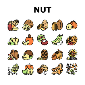 Nut Delicious Natural Nutrition Icons Set Vector. Peanut And Almond Nut, Walnut And Hazelnut, Sesame And Cashew Tasty Vitamin Food Line. Pistachio And Cocoa, Soy And Acorn Color Illustrations