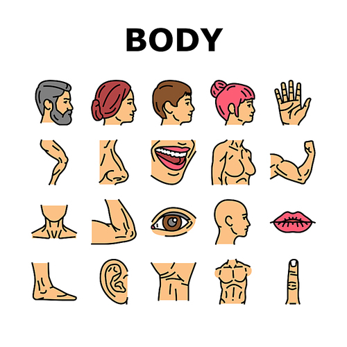 Body And Facial People Parts Icons Set Vector. Female And Male, Kid And Adult Face, Wrist And Arm Muscle, Breast And Leg Human Body Line. Lip And Nose, Eyebrow And Eye Color Illustrations
