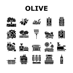 Olive Production And Harvesting Icons Set Vector. Olive Tree Cultivation And Berries Manual Harvest, Factory Shaker Table And Repository Industry Machine Glyph Pictograms Black Illustrations