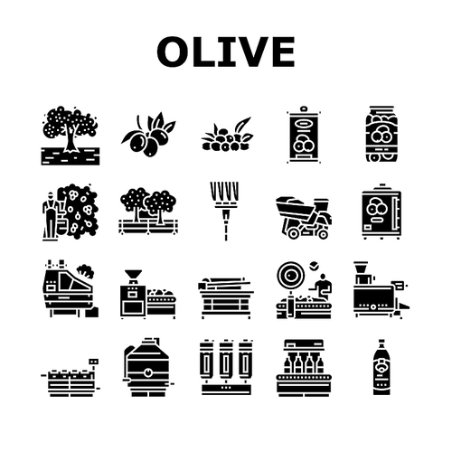 Olive Production And Harvesting Icons Set Vector. Olive Tree Cultivation And Berries Manual Harvest, Factory Shaker Table And Repository Industry Machine Glyph Pictograms Black Illustrations