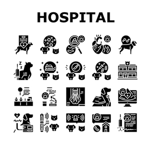 Hospital Pet Health Examination Icons Set Vector. Hospital Pet Disease Examining And Treatment, Immunization Pain Management, Ultrasound And Radiology Animal Exam Glyph Pictograms Black Illustrations