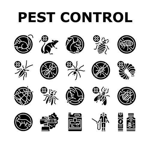 Pest Control Service Treatment Icons Set Vector. Woodworm And Spider, Ant And Rat, Mouse Silverfish Pest Control With Professional Equipment Chemical Liquid Smoke Glyph Pictograms Black Illustrations