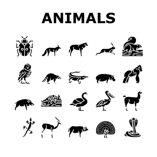 Wild Animals, Bugs And Birds Icons Set Vector. Alligator Reptile And Cobra Snake, Lama And Antelope, Gorilla And Hippopotamus Wild Animals. Chameleon And Lizard Glyph Pictograms Black Illustrations