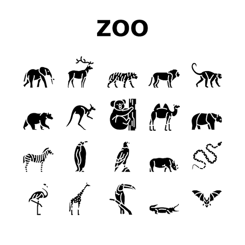 Zoo Animals, Birds And Snakes Icons Set Vector. Exotic Tiger And Elephant, Deer And Kangaroo, Camel And Panda Bear, Zebra And Monkey In Zoo. Flamingo And Penguin Glyph Pictograms Black Illustrations