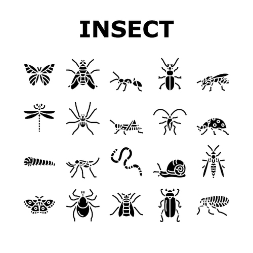 Insect, Spider And Bug Wildlife Icons Set Vector. Dragonfly And Butterfly, Ladybug And Cockroach, Grasshopper And Bumblebee, Mosquito And Caterpillar Insect Glyph Pictograms Black Illustrations