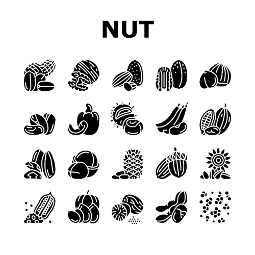 Nut Delicious Natural Nutrition Icons Set Vector. Peanut And Almond Nut, Walnut And Hazelnut, Sesame Cashew Tasty Vitamin Food . Pistachio And Cocoa, Soy And Acorn Glyph Pictograms Black Illustrations