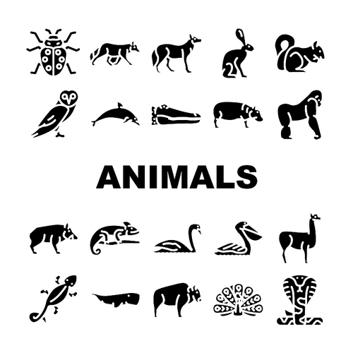 Wild Animals, Birds And Insects Icons Set Vector. Alligator Reptile And Cobra Snake, Hippopotamus And Dolphin Marine Mammal Animals, Squirrel And Chameleon Glyph Pictograms Black Illustrations