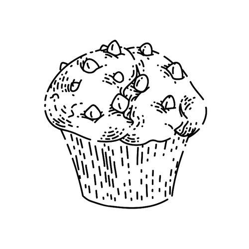 muffin sketch hand drawn vector chocolate breakfast, deliciuos dessert, vanilla snack vintage black line illustration