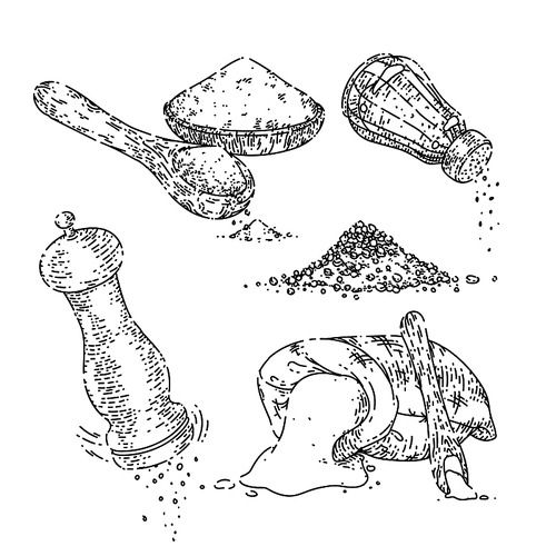 salt spoon set sketch hand drawn vector seasoning, sea powder, spice shaker, food pinch vintage black line illustration