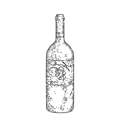 wine bottle hand drawn vector. glass drink, red grape, alcoohol old menu, wineryy wine bottle sketch. isolated black illustration