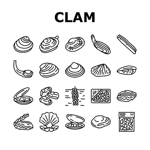 Clam Marine Sea Farm Nutrition Icons Set Vector. Ocean Quahog And Surf Clam, Pearl Oyster Shell And Mussel, Donax And Pacific Geoduck Line. Seafood Delicious Nutrient Black Contour Illustrations