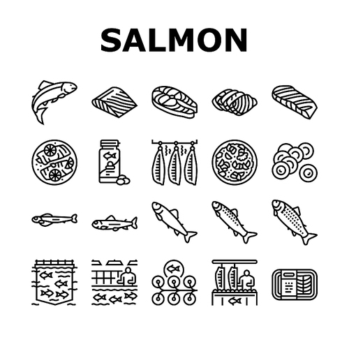 Salmon Fish Delicious Seafood Icons Set Vector. Sashimi And Salmon Fillet Steak, Fresh And Cooked Dish Sea Food, Caviar And Oil Line. Plant Processing And Farming Black Contour Illustrations