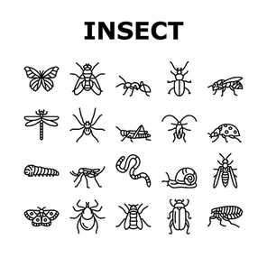Insect, Spider And Bug Wildlife Icons Set Vector. Dragonfly And Butterfly, Ladybug And Cockroach, Grasshopper And Bumblebee, Mosquito And Caterpillar Insect Line. Black Contour Illustrations