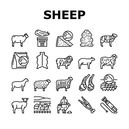 Sheep Breeding Farm Business Icons Set Vector. Sheep Breeding And Food Producing From Farmland Animal, Lamb Meat And Milk Line. Lanolin Wool Wax And Electric Devices Black Contour Illustrations