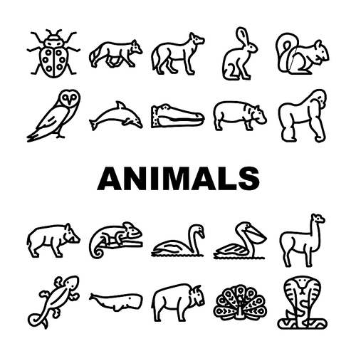 Wild Animals, Birds And Insects Icons Set Vector. Alligator Reptile And Cobra Snake, Hippopotamus And Dolphin Marine Mammal Animals, Squirrel And Chameleon Black Contour Illustrations