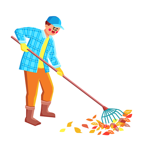 Gardener Clean Falled Leaves In Garden Vector. Man With Rake Equipment Cleaning Fall Foliage Tree Leaves On Park Lawn Or Backyard. Character Autumn Season Work Flat Cartoon Illustration