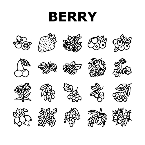 Berry Delicious And Vitamin Food Icons Set Vector. Huckleberry And Buckthorn Plant Branch, Juniper And Raspberry, Cloudberry And Cherry Berry, Juicy Gooseberry Blueberry Black Contour Illustrations