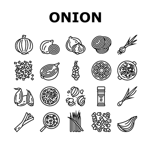 Onion Fresh Vitamin Vegetable Icons Set Vector. White And Purple Onion, Growing Green And Shallot. Harvesting Ripe Eatery Bio Plant For Flavoring Meal And Salad Black Contour Illustrations