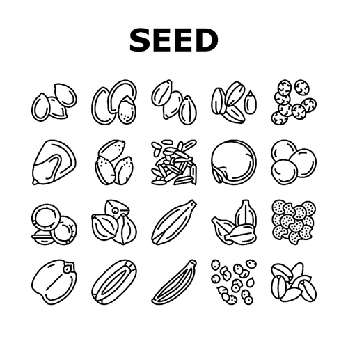 Seed Plant Agriculture Culture Icons Set Vector. Amaranth And Sunflower, Sesame And Flax, Chia And Mustard Agricultural Seed. Vegetable And Fruit Growing Vitamin Product Black Contour Illustrations