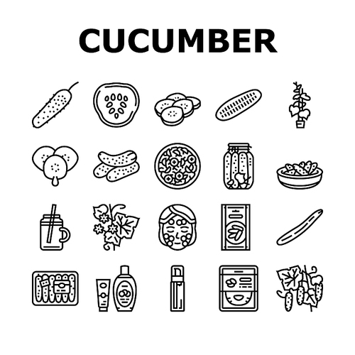 Cucumber Natural Bio Vegetable Icons Set Vector. Cucumber Ingredient For Preparing Vitamin Salad And Eco Cream Cosmetics, Spa Salon Healthy Procedure And Facial Mask Black Contour Illustrations
