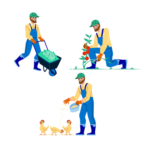 Agriculture Farmland Occupation Of Farmer Vector. Man Harvesting Agriculture Vegetable, Feeding Chicks Birds And Working On Farm. Character Agricultural Work Flat Cartoon Illustration