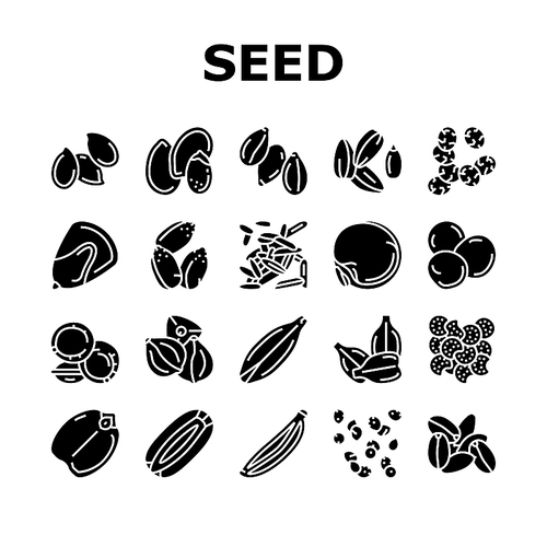 Seed Plant Agriculture Culture Icons Set Vector. Amaranth And Sunflower, Sesame Flax, Chia Mustard Agricultural Seed. Vegetable And Fruit Growing Vitamin Product Glyph Pictograms Black Illustrations