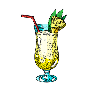 pina colada cocktail hand drawn vector. pineapple drink, rum glass, coconut tropical ice fruit pina colada cocktail sketch. isolated color illustration