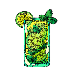 mojito cocktail hand drawn vector. mint glass drink, lime ice, green fruit mojito cocktail sketch. isolated color illustration