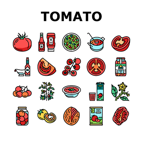 Tomato Natural Vitamin Vegetable Icons Set Vector. Tomato Soup And Salad Meal, Cooking Delicious Dish Food From Bio Ingredient, Ketchup And Sauce, Juice Drink And Paste Color Illustrations