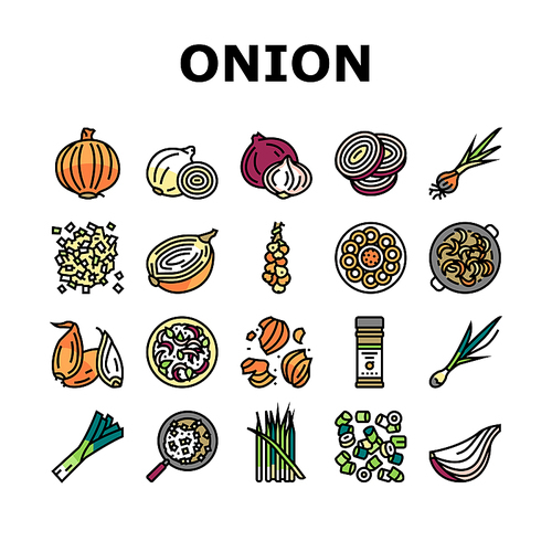 Onion Fresh Vitamin Vegetable Icons Set Vector. White And Purple Onion, Growing Green And Shallot. Harvesting Ripe Eatery Bio Plant For Flavoring Meal And Salad Color Illustrations