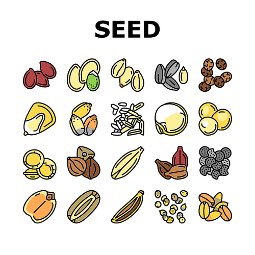 Seed Plant Agriculture Culture Icons Set Vector. Amaranth And Sunflower, Sesame And Flax, Chia And Mustard Agricultural Seed. Vegetable And Fruit Growing Vitamin Product Color Illustrations