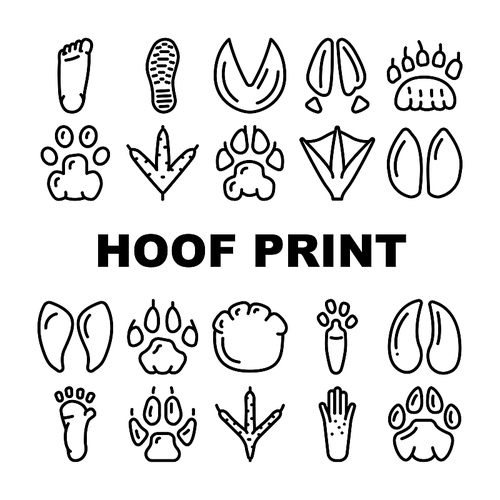 Hoof Print Animal, Bird And Human Shoe Set Vector. People Footprint And Elephant Hoof Print, Deer And Bear, Horse And Tiger, Chicken And Mouse. Mammal Sheep Paw Black Contour Illustrations