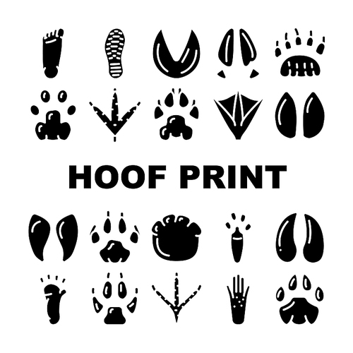 Hoof Print Animal, Bird And Human Shoe Set Vector. People Footprint And Elephant Hoof Print, Deer And Bear, Horse And Tiger, Chicken And Mouse. Mammal Sheep Paw Glyph Pictograms Black Illustration