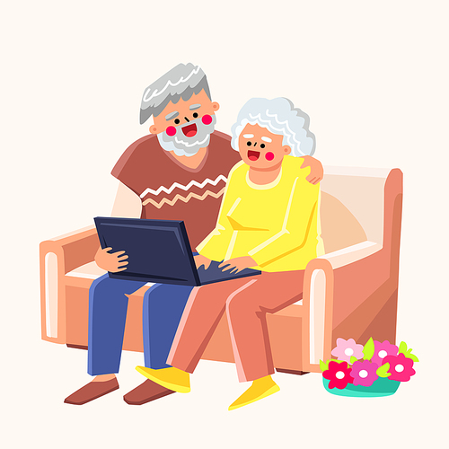 pensioner sofa laptop vector. computer home, elderly happy, old online woman, technology internet, senior retired pensioner sofa laptop character. people flat cartoon illustration