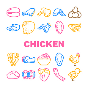 Chicken Carcass, Meat And Organs Icons Set Vector. Chicken Broiler Skinless And Boneless Fillet And Quarter Back, Wings And Drumstick, Liver And Heart. Little Chick Farmland Bird Color Illustrations