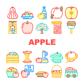 apple red food green leaf freash icons set vector. slice half. Healtthy organic cut, diet sweet, juicy ripe piece, juice nature art apple red food green leaf freash color line illustrations