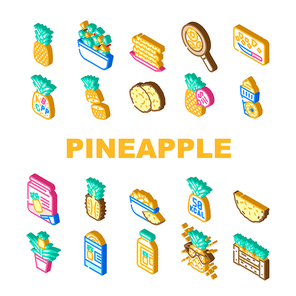 fruit pineapple slice cut food icons set vector. white fresh tropical yellow sweet ananas, leaf, piece summer juicy half ripe dessert fruit pineapple slice cut food isometric sign illustrations