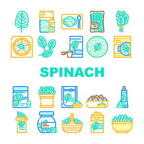 spinach leaf salad green food icons set vector. fresh plant baby, leaves vegetable, organic bunch, lettuce pile healthy raw spinach leaf salad green food color line illustrations