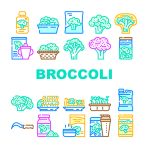 broccoli vegetable green food icons set vector. fresh salad cabbage, white, brocolli raw, healthy brocoli diet, cooking top organic broccoli vegetable green food color line illustrations