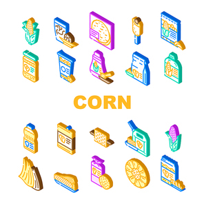 corn maize sweet plant cob icons set vector. white green farm, field grain food, leaf agriculture yellow vegetable, popcorn seed corn maize sweet plant cob isometric sign illustrations