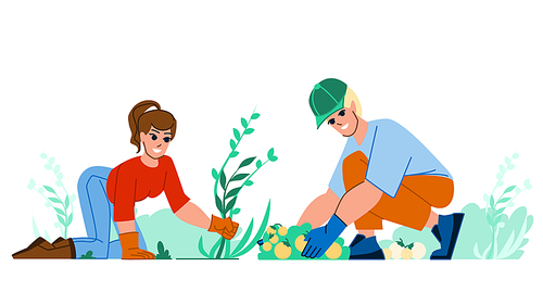 couple gardering vector. man woman summer, happy nature, lifestyle young family, home leisure couple gardering character. people flat cartoon illustration
