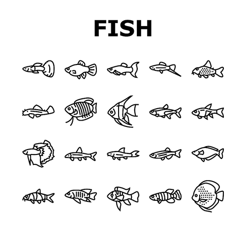 Aquarium Fish Tropical Animal Icons Set Vector. Angelfish And Rainbowfish, Danios And Gourami, Cory Catfish And Tetras Exotic Decorative Aquarium Fish. Underwater Life Black Contour Illustrations