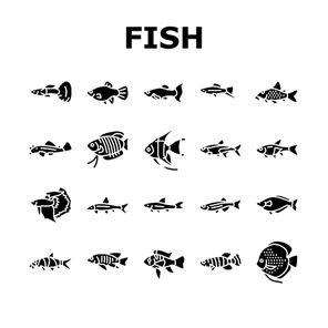 Aquarium Fish Tropical Animal Icons Set Vector. Angelfish And Rainbowfish, Danios And Gourami, Cory Catfish Tetras Exotic Decorative Aquarium Fish. Underwater Life Glyph Pictograms Black Illustrations