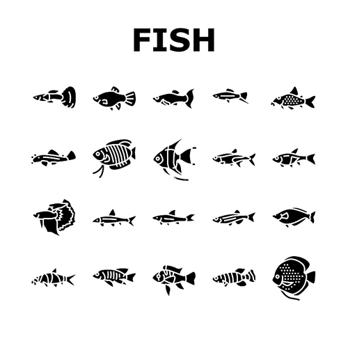 Aquarium Fish Tropical Animal Icons Set Vector. Angelfish And Rainbowfish, Danios And Gourami, Cory Catfish Tetras Exotic Decorative Aquarium Fish. Underwater Life Glyph Pictograms Black Illustrations