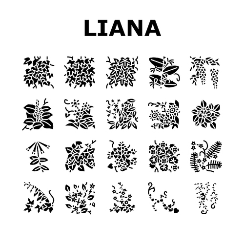 Vine Liana Exotic Growing Plant Icons Set Vector. Japanese Honeysuckle And Poison Ivy, Caroline Jessamine And Wisteria Liana, Tropical Cypress And Bougainvillea Glyph Pictograms Black Illustrations