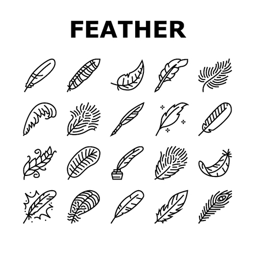 feather bird soft quil fluffy icons set vector. plume, plumage light, falling angel, fluff swan, lightwell pen, goose ink smooth feather bird soft quil fluffy black contour illustrations