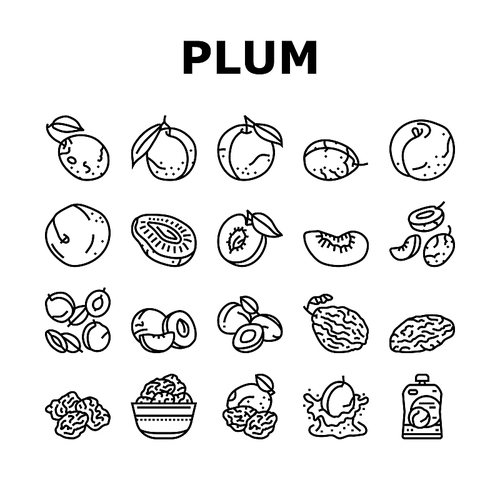 plum fruit green red prune icons set vector. orchard, blur food slice, tree top art, round purple dessert plum fruit green red prune black contour illustrations