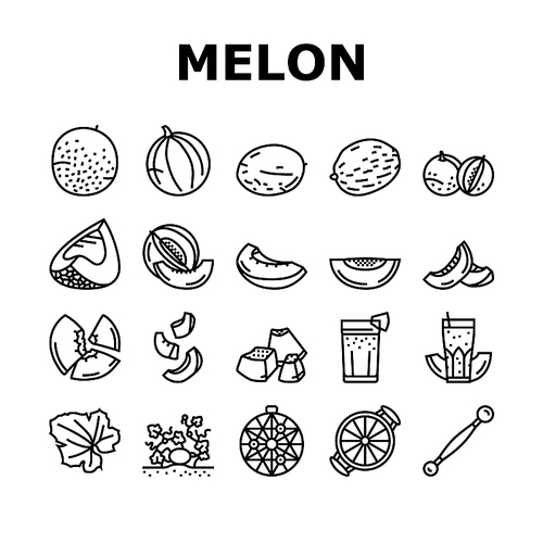 melon cantaloupe yellow fruit icons set vector. green muskmelon, honeydew cut food, honey japanese sweet, fresh slice half melon cantaloupe yellow fruit black contour illustrations